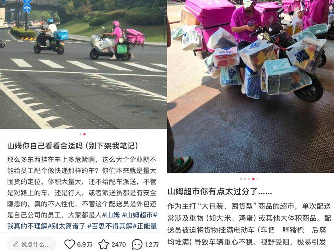 深度解析：爆汝送货员安卓汉化的背后