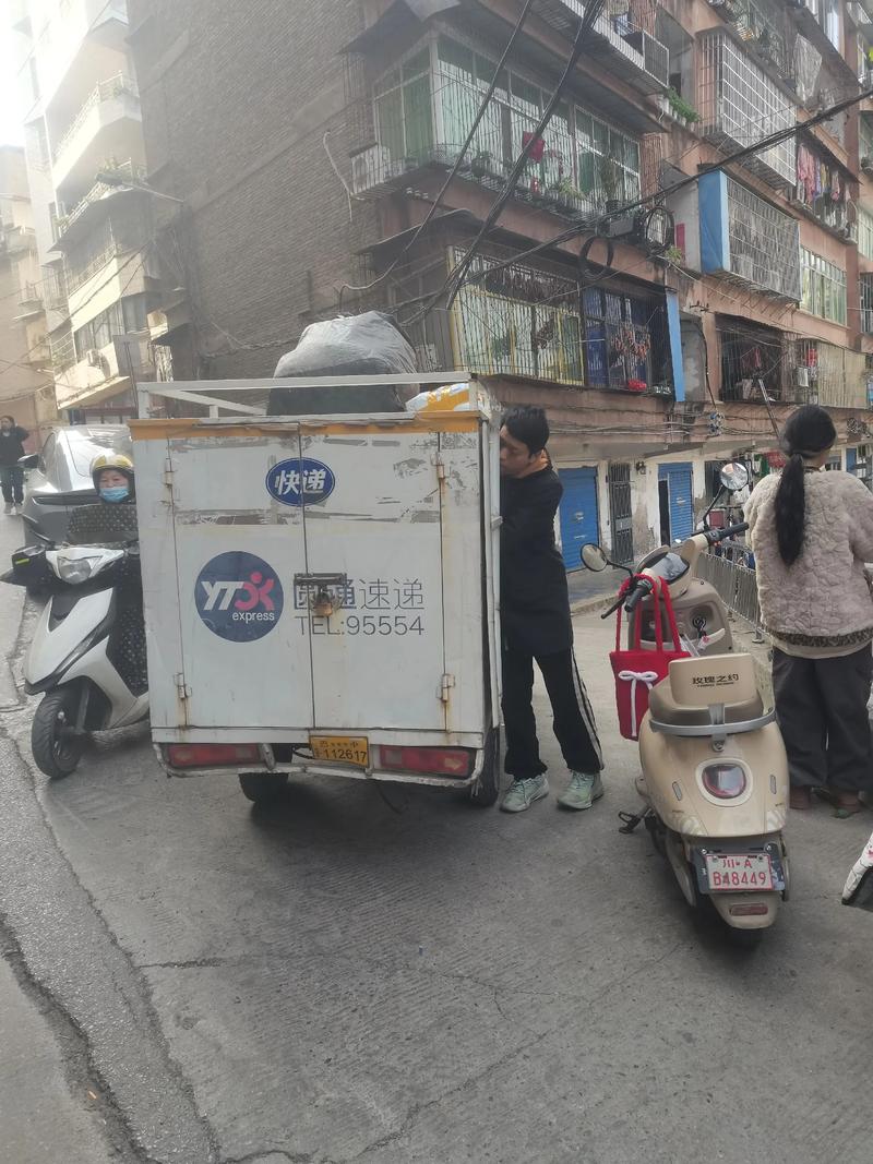 深度解析：爆汝送货员安卓汉化的背后