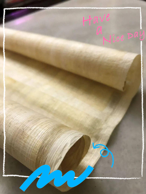 少女莎草纸版本大全:深度分析与实用建议