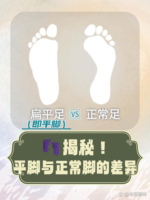 深度解析《脚下的正常生活》游戏攻略：从新手到高手的全方位指导