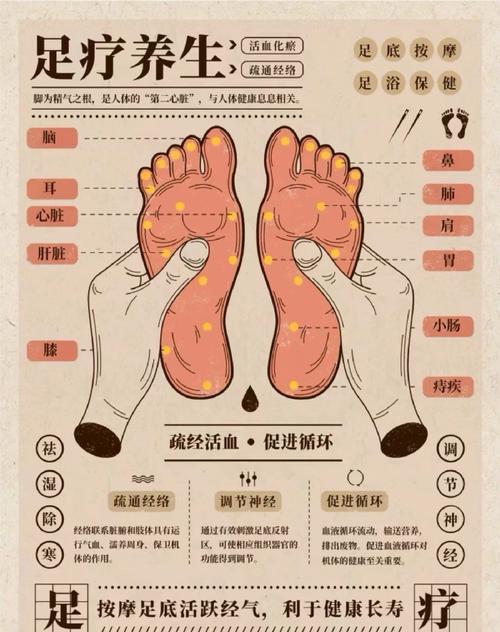 深度解析《脚下的正常生活》游戏攻略:从新手到高手的全方位指导