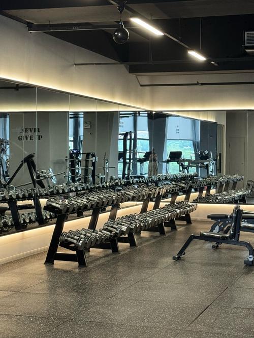 探索禁欲健身中心：下载与体验的全新视角