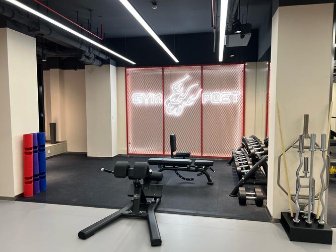 探索禁欲健身中心：下载与体验的全新视角