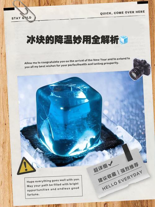 深入分析“下来啊！冰鸟官方网站”：绅士游戏的潜力与挑战