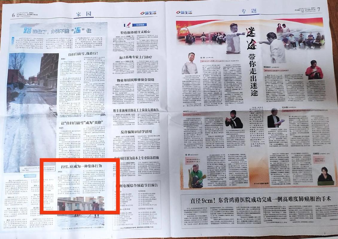 胜利后的生活最新版本：深度解析与实用建议