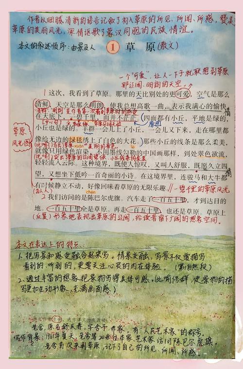 深入解析《阳光下的野兽》：游戏攻略与战术运用