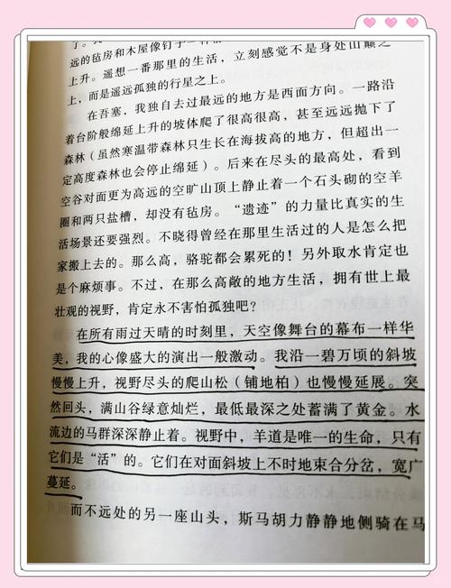深入解析《阳光下的野兽》：游戏攻略与战术运用