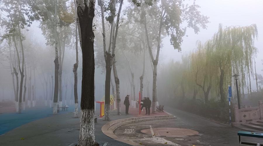 在薄雾中漫步：深入探索mist薄雾安卓游戏的魅力与挑战