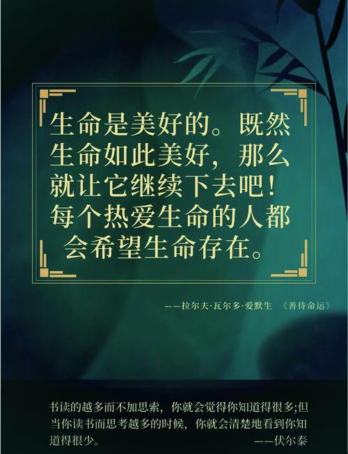 生命的回报：一款深邃绅士游戏的全面解析