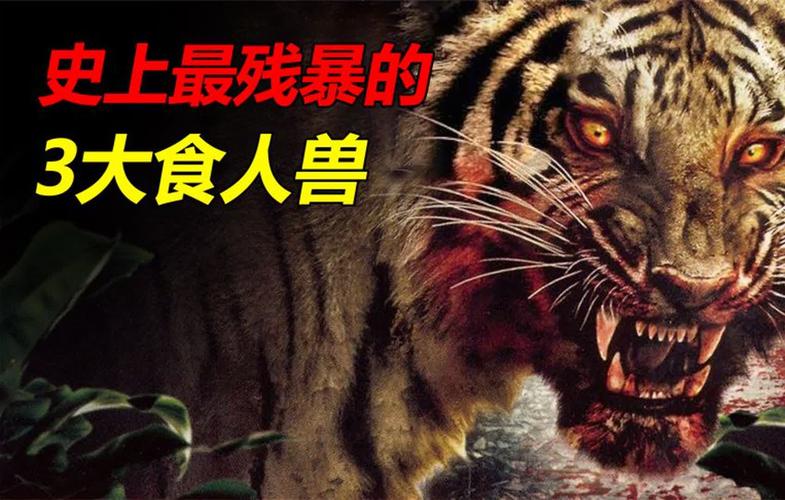 深入探讨《暴食的怪兽公主杨过》：游戏机制与玩家体验的完美融合