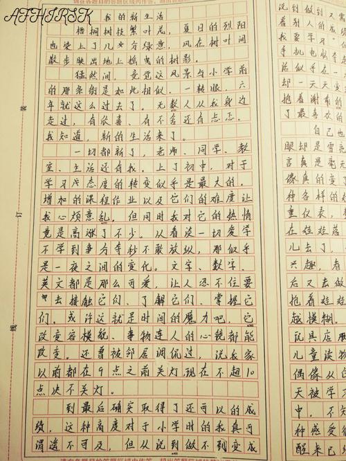 深入解析《我的新生活》官方正式版下载最新版的游戏体验与发展方向