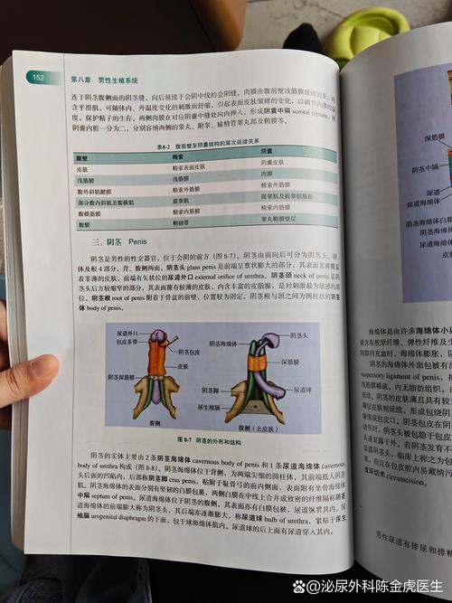 深度解析生殖活動学院官方网站:绅士游戏领域中的新兴力量
