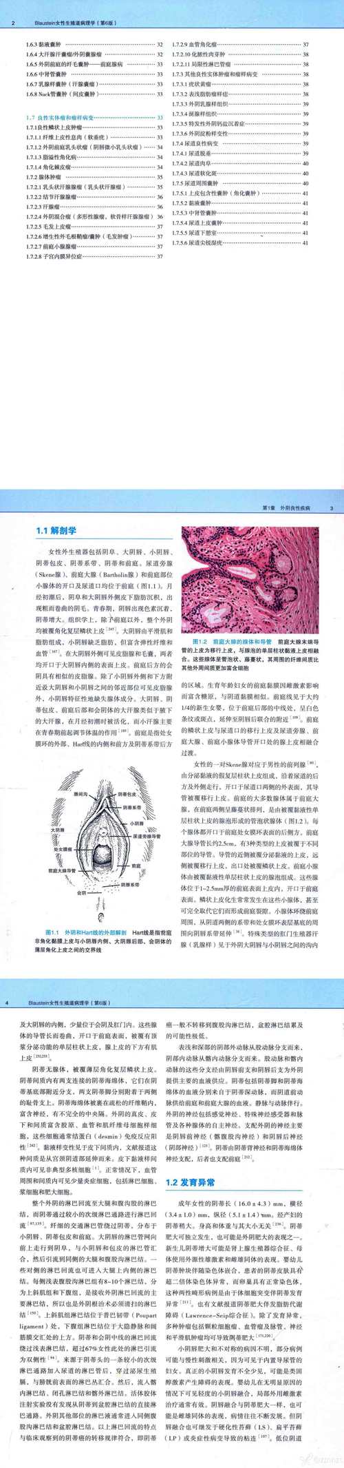 深度解析生殖活動学院官方网站:绅士游戏领域中的新兴力量