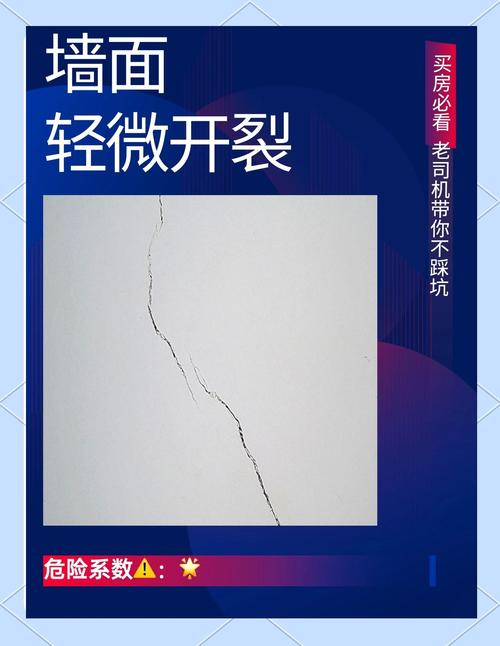 裂缝中的房子官网分析：探寻绅士游戏领域的独特魅力与潜力