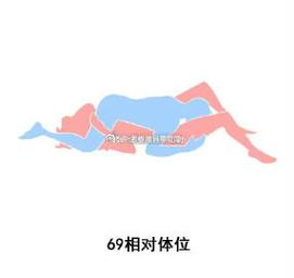 全面解析《性爱酒店模拟器汉化版下载》的市场潜力与用户体验