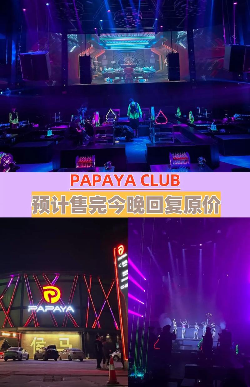 PAPA酒馆版本大全：全面解析与应用策略