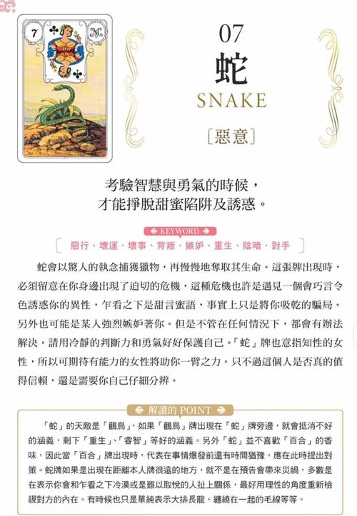 深度解析：Rinapo最新版本带来的游戏体验革新