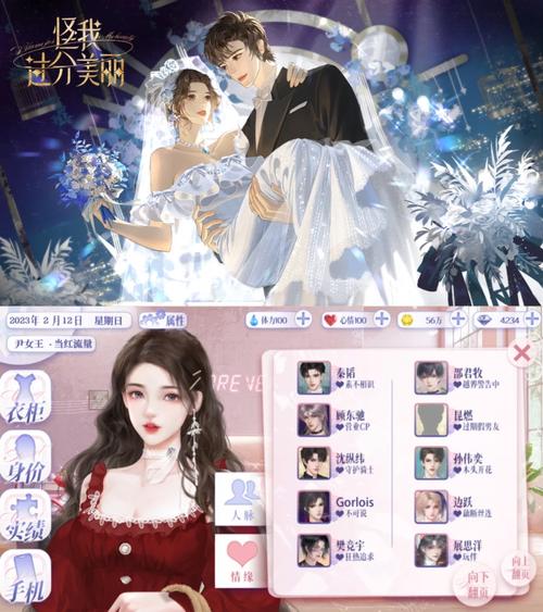 明星玩偶模拟器下载指南：深度解析与实用建议