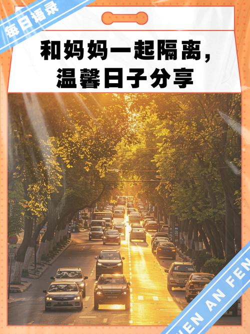 与妈妈一起隔离更新地址：探讨家庭互动中的游戏文化