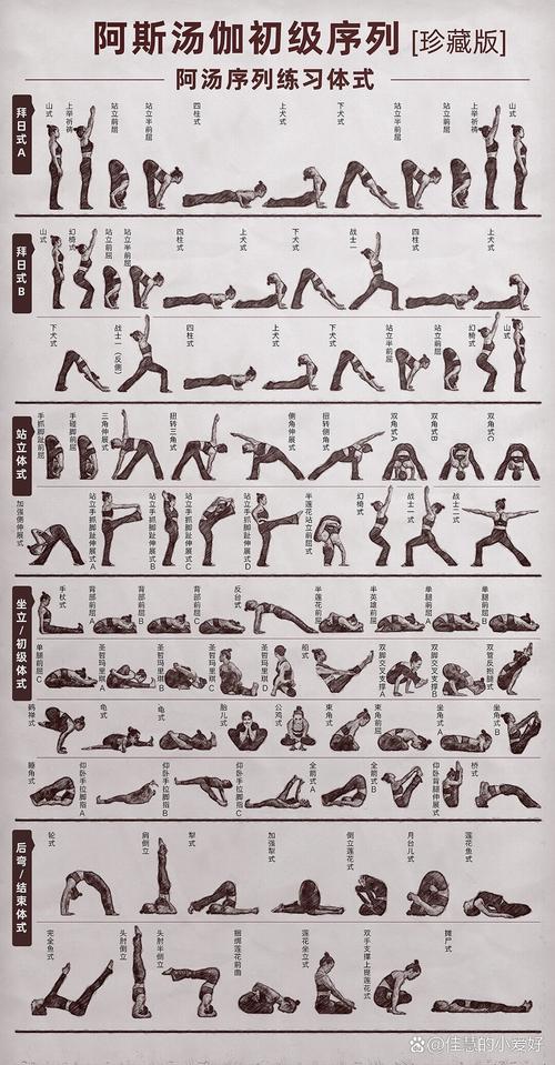 颠覆版本大全：详细操作教程与实用技巧