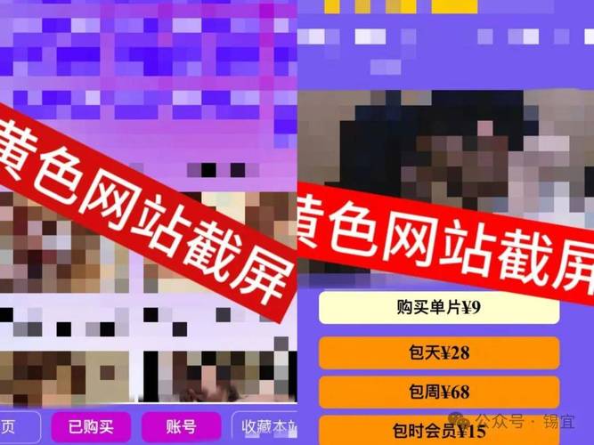 如何下载涩豆豆：详细实用教程