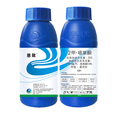 探索保利托农最新版本：技术革新与游戏体验的完美结合