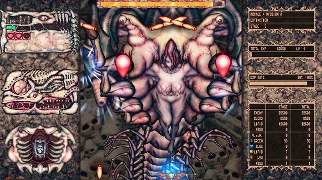 黄昏的天使官方网站使用指南：全面教程与实用技巧