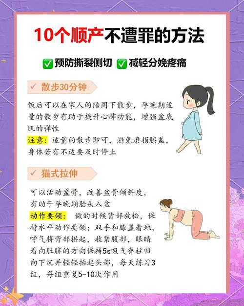 如何顺利安装和使用妈妈物语最新版本:新手教程