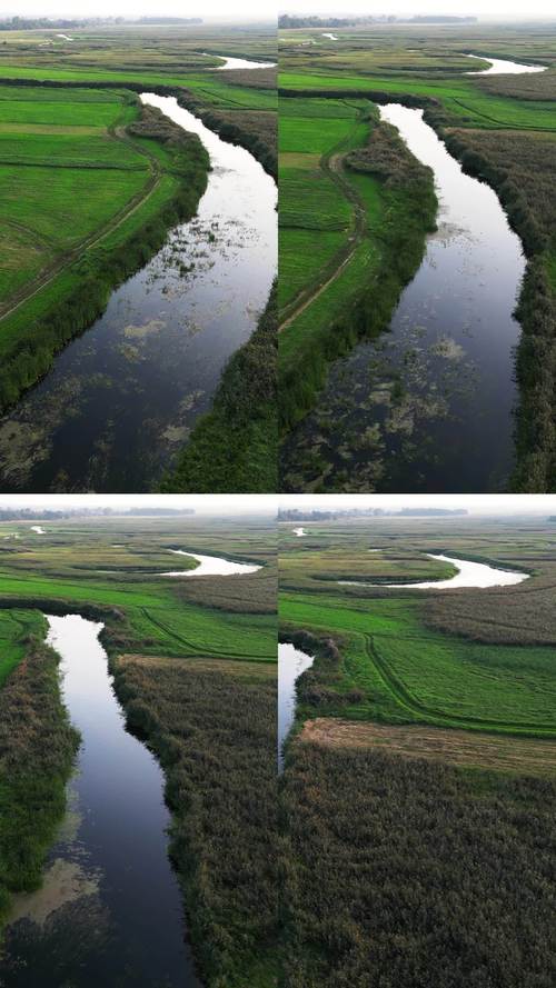 宁静草地游戏官网使用教程：新手上路指南