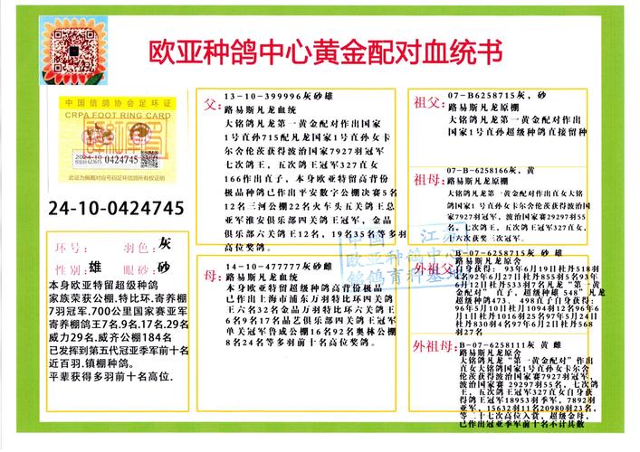 神话传记6官网使用教程：新手必看指南