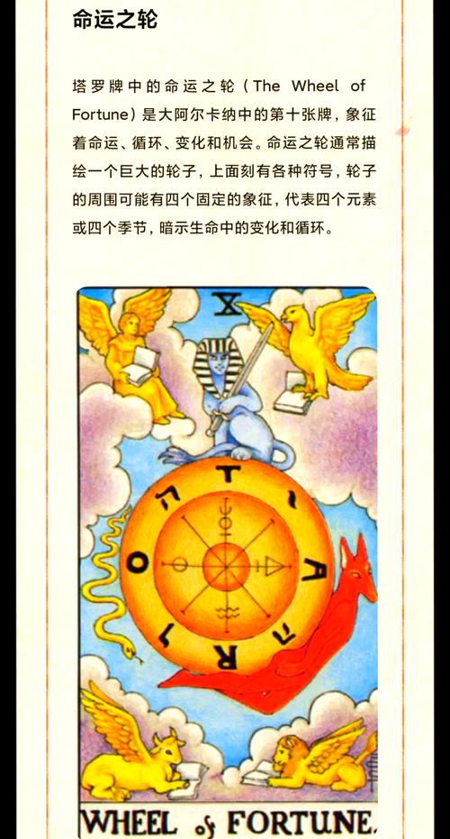 深入探索《命轮逆旅》：从游戏设计到玩家体验的全方位分析