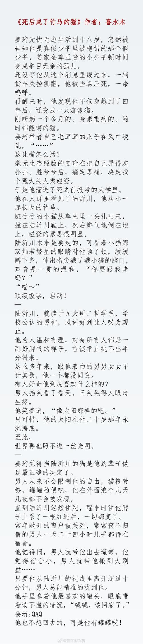 崽儿酱更新地址的深度解析与影响分析