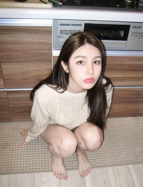 完美女友更新日志:深度分析与未来展望