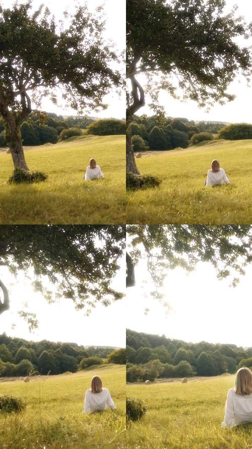 宁静草地下载实用教程：新手必看