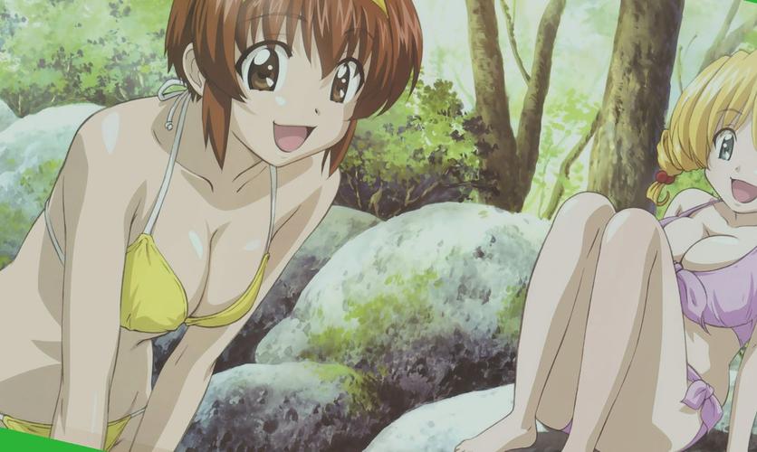 深入探索卵之少女最新版本的实用教程