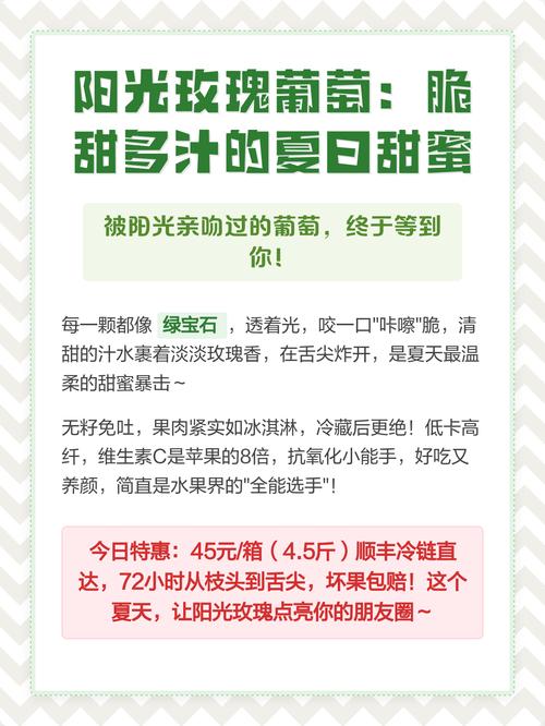 如何在甜蜜夏日官网上畅玩游戏：新手必看教程