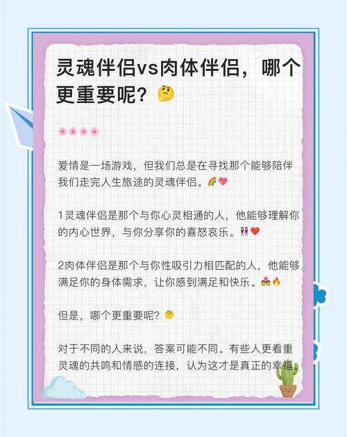 灵魂伴侣游戏完整介绍与实用教程