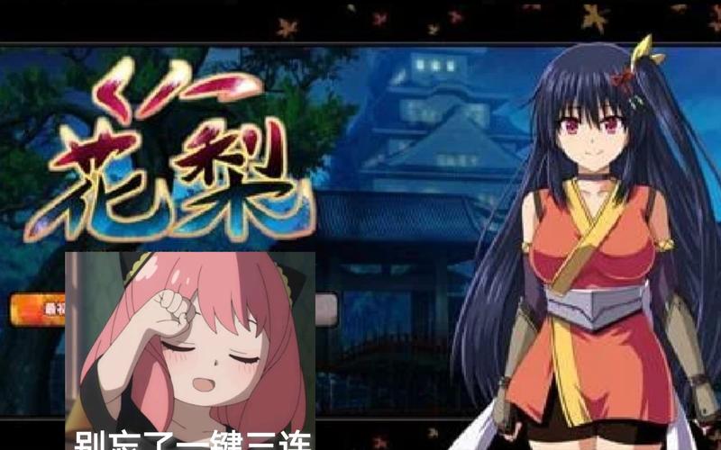 女忍花梨最新版本实用教程：从安装到玩法详解