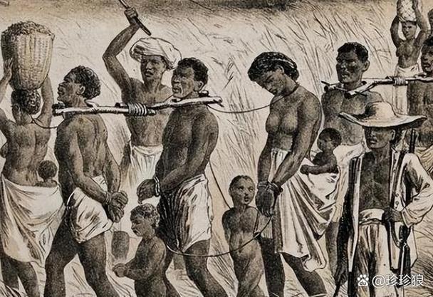 奴隶们最新：深度剖析绅士游戏的复杂性