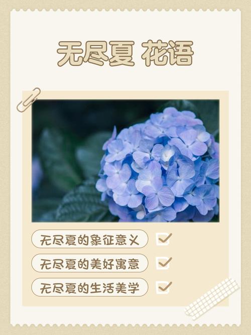 一夏之花最新：深度解析绅士游戏的艺术与市场趋势