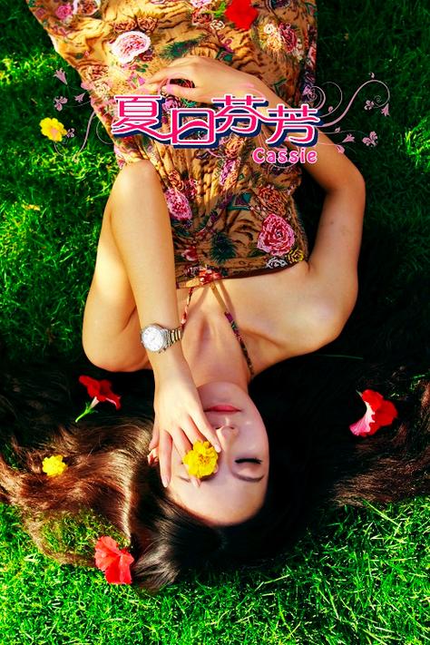 如何下载《夏日芬芳》：实用详细教程