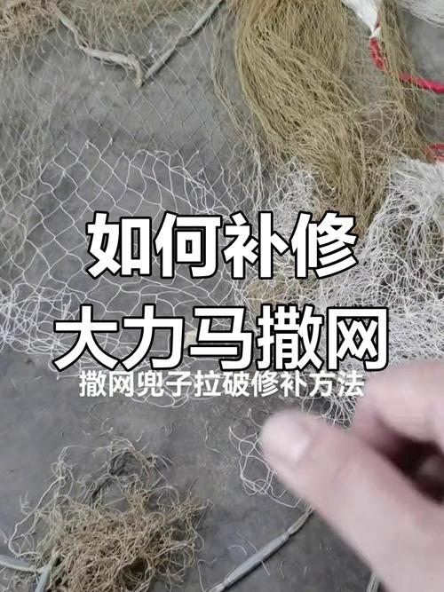 如何高效使用渔网亡灵官方网站：新手指南