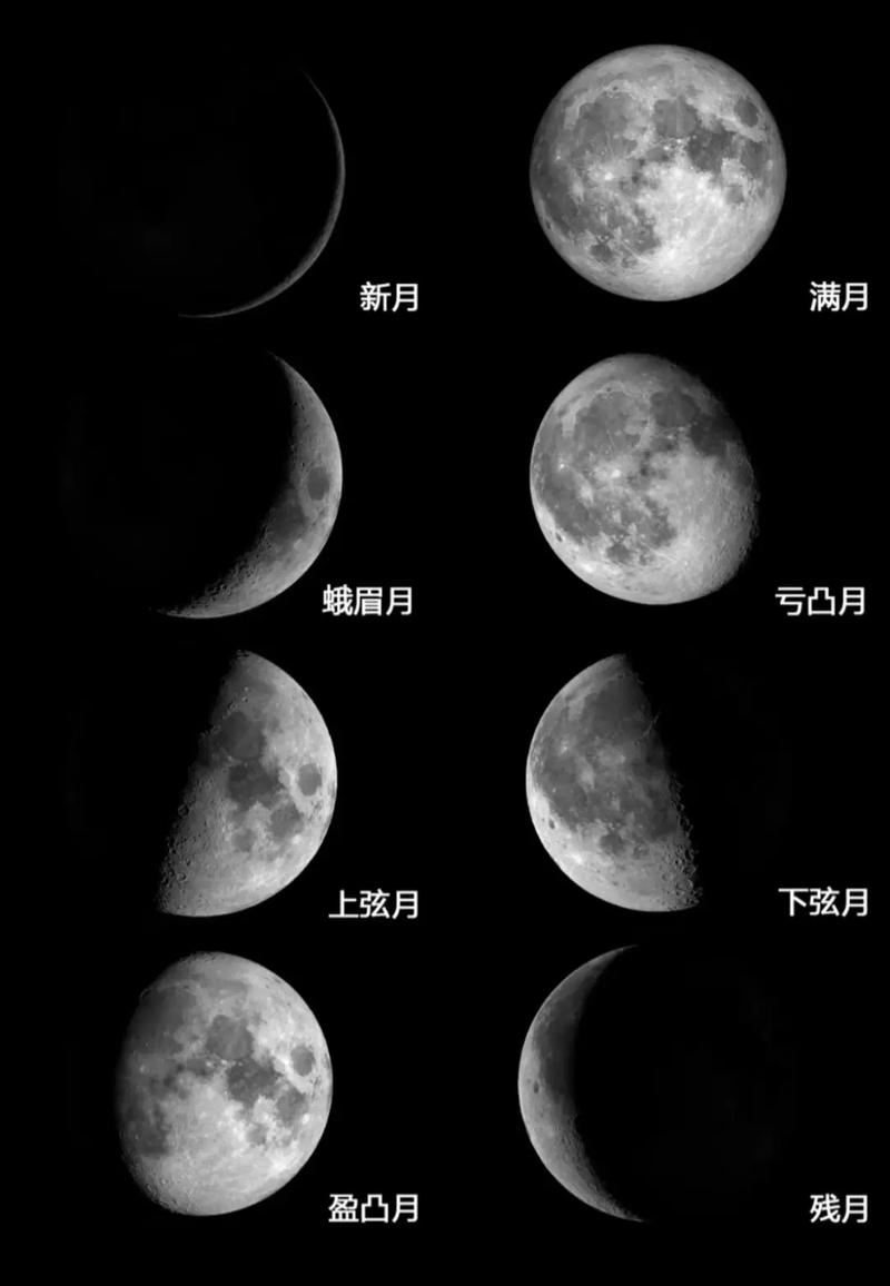 深入解析:月之境的下载及其背后的绅士游戏文化