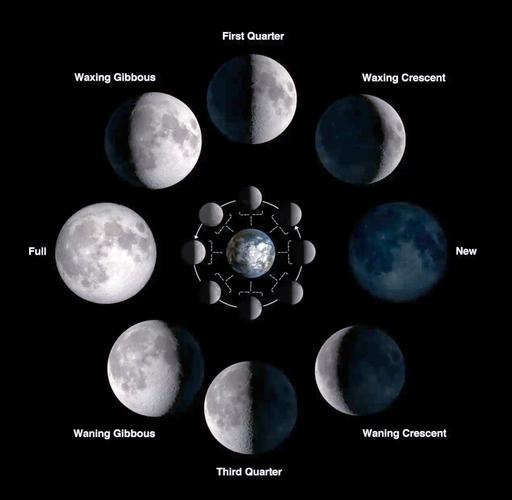 深入解析:月之境的下载及其背后的绅士游戏文化