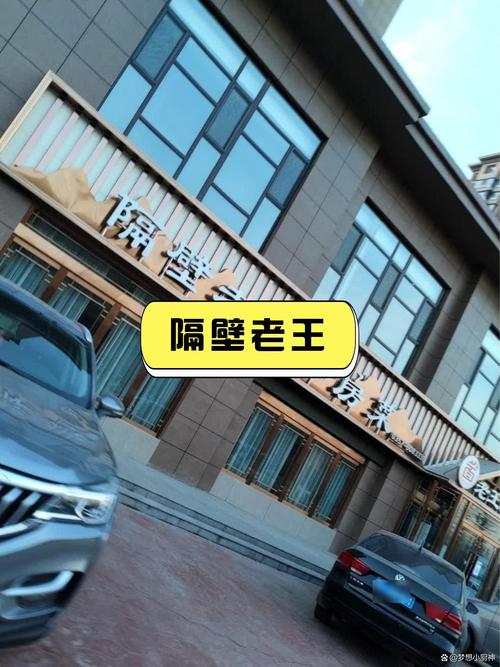 探索“隔壁老王”的下载方式与市场影响