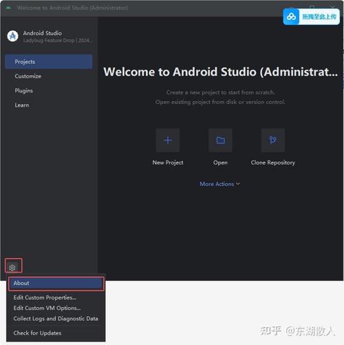 如何在安卓设备上汉化《盗母笔记》：详尽教程