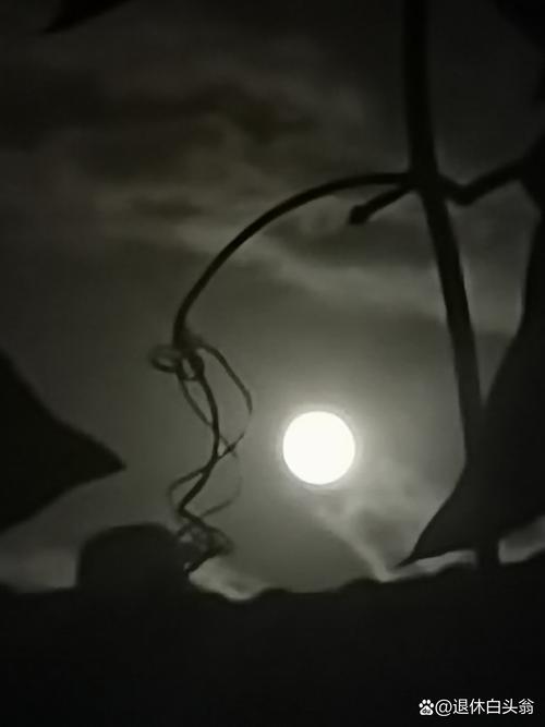 失落的月亮最新版本深度分析：探索新特性与玩家反馈