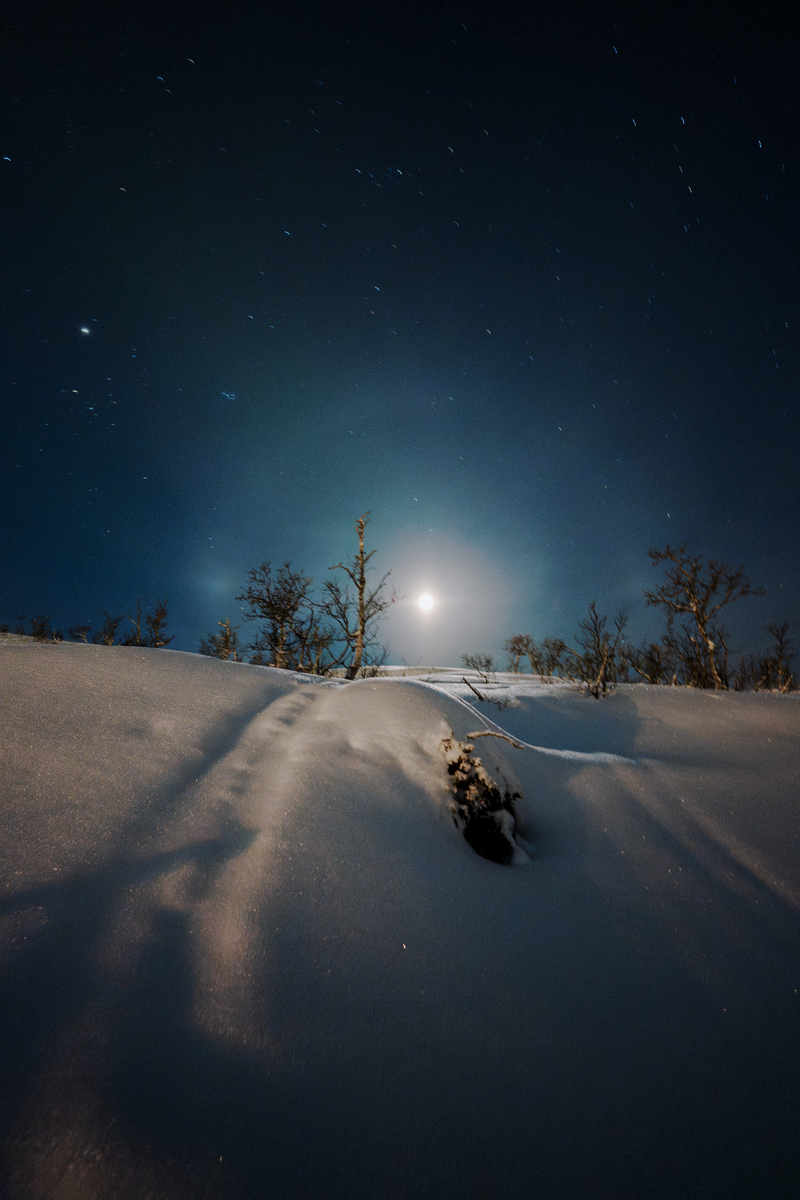 失落的月亮最新版本深度分析：探索新特性与玩家反馈