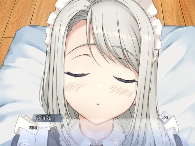 我与女仆索菲娅的秘密游戏攻略：全面实用指南