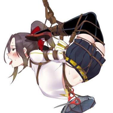 乳爱奴隶调教计划 游戏详细教程